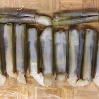 Kerang Bambu size 35-40pcs/KG
