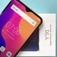 VIVO Y 91