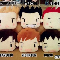 Boneka Bantal 2PM K-Pop Plushie