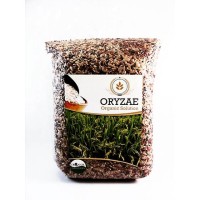 Jual 2kg Beras Mix Organik (merah,hitam,coklat) Murah