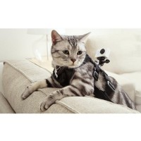 Xiaomi Yi Cat Harness for Xiaomi Yi & GoPro - Black