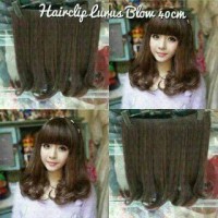 Jual Hair Clip Big Layer 40 cm Lurus Blow / hairclip 40cm straight Murah