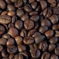 Jual Kopi ROBUSTA GAYO ACEH - Biji / Bean Murah