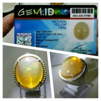 Jual Kalimaya Banten kolektor big size Murah