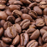 Jual kopi luwak roasted beans Murah