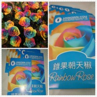 Jual RAINBOW ROSE SEED - BENIH / BIBIT MAWAR RAINBOW Murah