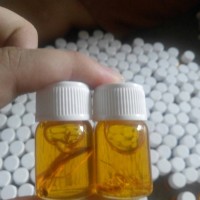 Jual Minyak Bulus Gingseng 10ml(kecil) Murah