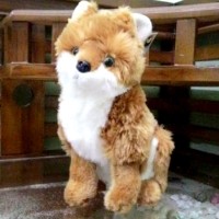 Boneka Anjing Pom