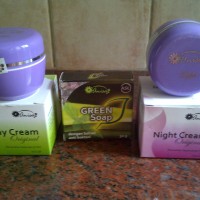 Cream Anisa Asli Pemutih Pencerah Pembersih Penghilang Jerawat Wajah