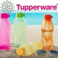 Jual Eco bottle 500 ml Tupperware Murah