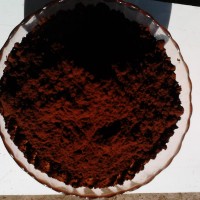 Jual kopi luwak Murah