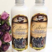 Jual {Asli/Ori Ya..} Caviar Shampoo Shampo Kuda Penumbuh Rambut Botak Murah