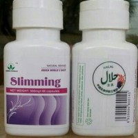 Obat Pelangsing Herbal slimming capsule green world
