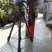 Tripod Excell Vipod 300