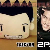 Bantal Korea 2PM Taecyeon