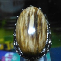 Katalog Batu Akik Posil Katalog.or.id Katalog Batu Akik Posil Katalog.or.id