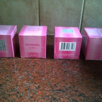 Jual Pemerah Bibir ((NENHONG LIPGLOSS)) <<TERLARIS>> Murah