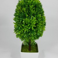 Bonsai Oval Hijau Kecil