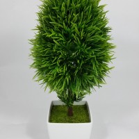 Bonsai Oval Hijau Kecil