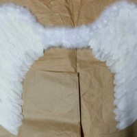 Sayap Bidadari / Angel wings Size L
