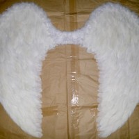 Sayap Bidadari / Angel wings Size XL