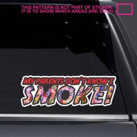 2x STBPC091 Bomb Sticker JDM Euro My parents don't know i smoke Drive