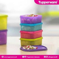 Jual Mini Rect Low Tupperware Murah