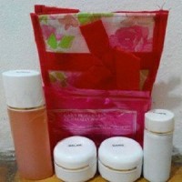 Jual HN Cream Besar pemutih wajah/HN Cream Original murah/pemutih muka 30gr Murah