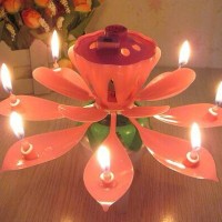 Jual Lilin Ulang Tahun Bunga / Music Candle Murah