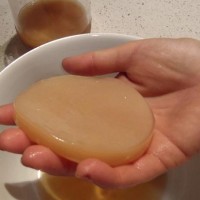Jual SCOBY (JAMUR KOMBUCHA / JAMUR DIPO ) DIAMETER : 7 CM | S Murah