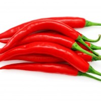 biji benih cabe merah kopay