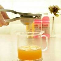 Jual Perasan jeruk Stainless STEEL / LEMON, CITRUS, ORANGE Extractor Murah