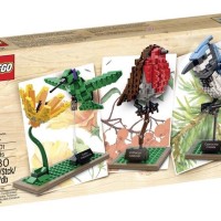 Jual LEGO Ideas CUUSOO - 21301 Birds Blue Jay Humming Bird Robin Exclusive Murah