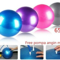 Jual Bola Gym / Fitness/ Yoga (Gym Ball ) 65 cm Murah