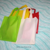 Jual Tas Goodiebag Spunbond Tali Lipat Samping 25x35 cm Murah