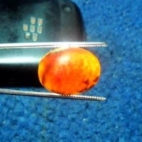 Jual Natural poleshed getah katilayu | kapilayu.com | Batu Akik Serba 80 rb Murah
