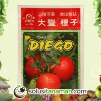 Bibit Buah Tomat Diego @5g Biji Benih Sayuran Tanaman Sayur Hidroponik