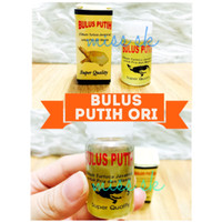 Jual Minyak Bulus kemasan kotak Murah
