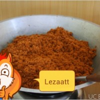 Jual Abon Lele Murah