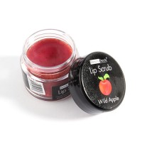 Jual Beauty Treats Fruit Lip Scrub Murah