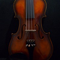 Jual Biola Dvorak Violin, Made in Czecho - Slovakia 2015 Murah