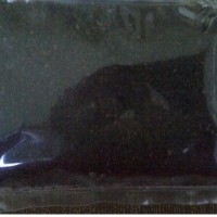 Jual Kopi Aceh Gayo Arabika 500 gram Murah