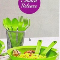 Jual Tupperware Cutlery Sendok Garpu Murah