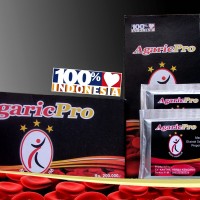 Agaricpro Obat Herbal Penyakit Batuk Darah