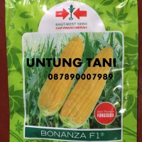 Benih Jagung Manis PM Bonanza F1 isi 200 butir
