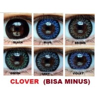 Softlens Aquas Clover / Soft Lens aquas clover Color DE Limited