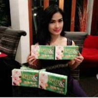 Jual Pelangsing Badan Original / Fruit~Plant Murah