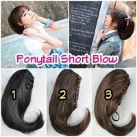 HAIRCLIP / HAIR CLIP / PONYTAIL LURUS SHORT BLOW / JEPIT PENDEK