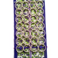 Jual Hjo ring 28 Murah