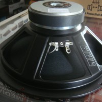 speaker ads 12 inch full range